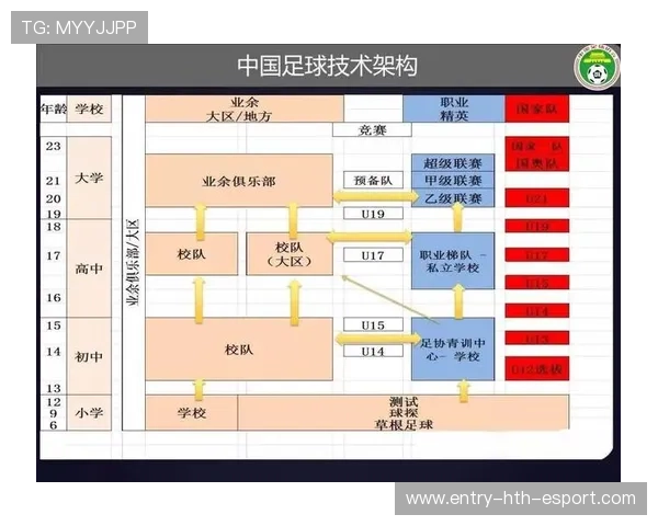 青少年足球的发展前景分析，青少年足球的发展前景分析怎么写